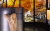 Ausstellungsansicht MEK